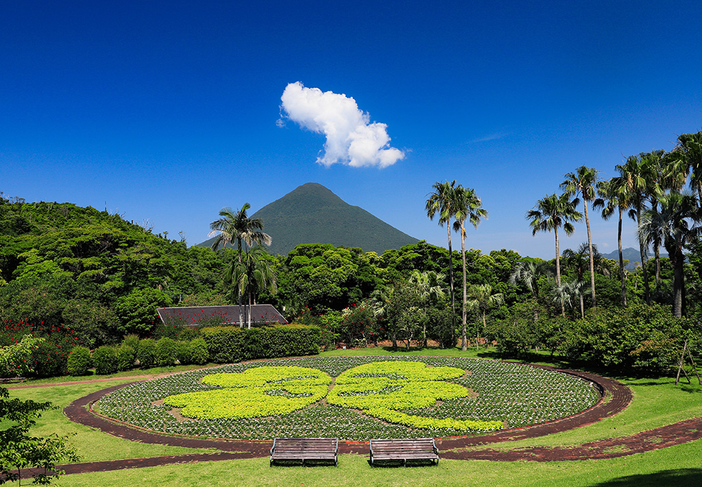 雄大な開聞岳を背にした花広場/フラワーパークかごしま(鹿児島県/指宿市)