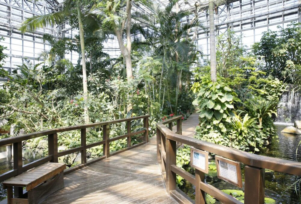 動植物とふれあえる熱帯生態園/北九州市立響灘緑地(グリーンパーク)(福岡県)
