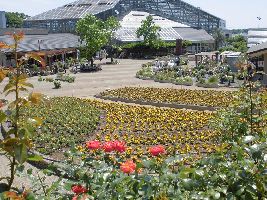 大花壇からドームへきれいな景色が続く/とちぎ花センター(栃木県/栃木市)