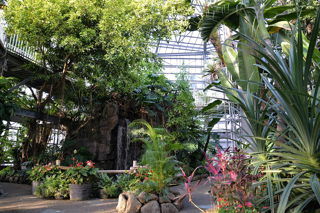 大温室/アロハガーデンたてやま(千葉県)