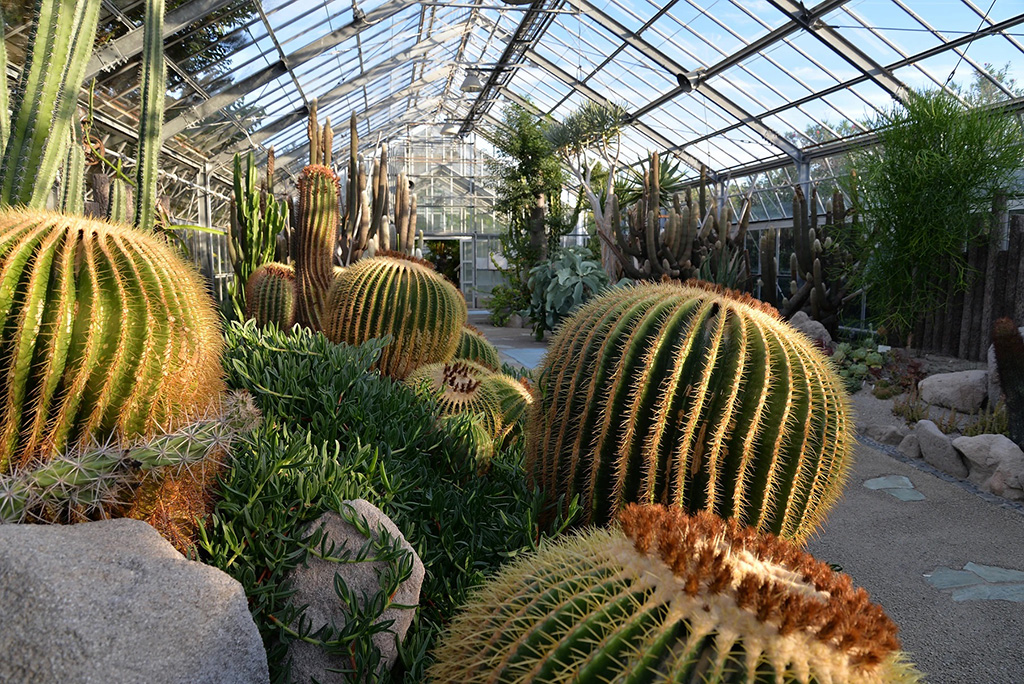 サボテン温室/アロハガーデンたてやま(千葉県)
