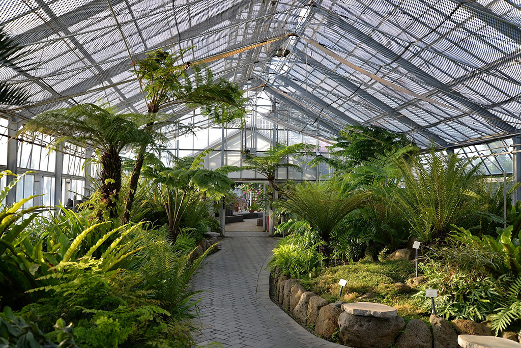 シダ温室/アロハガーデンたてやま(千葉県)