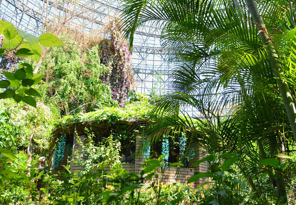 温室の内部/小田原フラワーガーデン(神奈川県/小田原市)