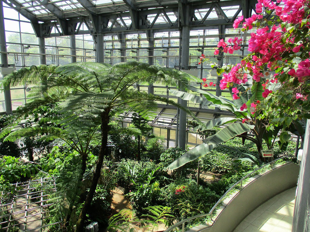 /神奈川県立相模原公園 サカタのタネグリーンハウス