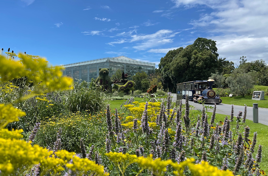 園内を約15分で巡る「フラワートレイン」/はままつフラワーパーク(静岡県/浜松市)