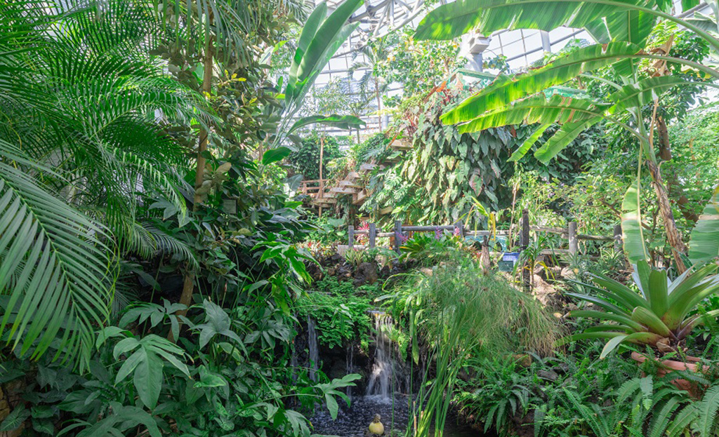 メインゾーンの「大温室」/のんほいパーク(豊橋総合動植物公園)(愛知県/豊橋市)