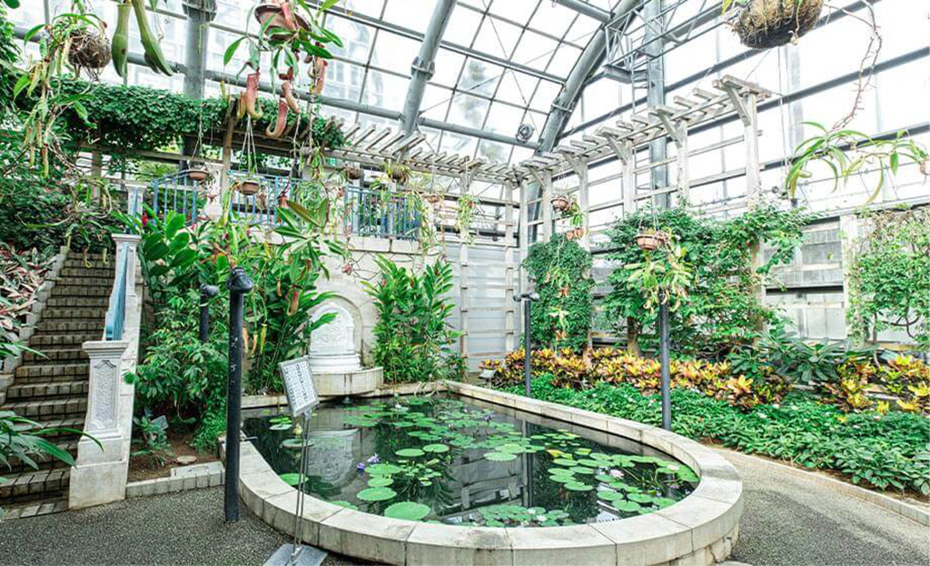 池のある「スイレンのへや」/のんほいパーク(豊橋総合動植物公園)(愛知県/豊橋市)