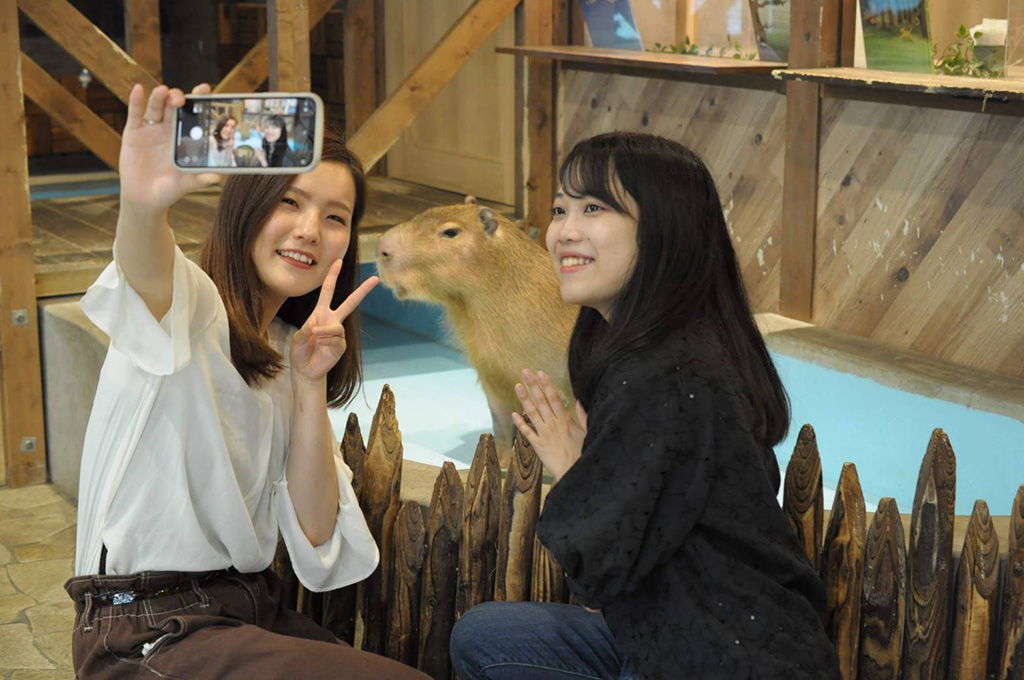 アドベンチャーエリア/動物たちが暮らす森のカフェ アニミル(大阪府/大阪市)