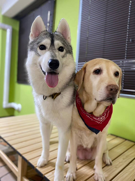 ガーデンエリア/動物たちが暮らす森のカフェ アニミル(大阪府/大阪市)