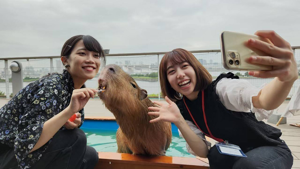 テラスエリアでカピバラと一緒に自撮り
/動物たちが暮らす森のカフェ アニミルお台場店(東京都/港区)