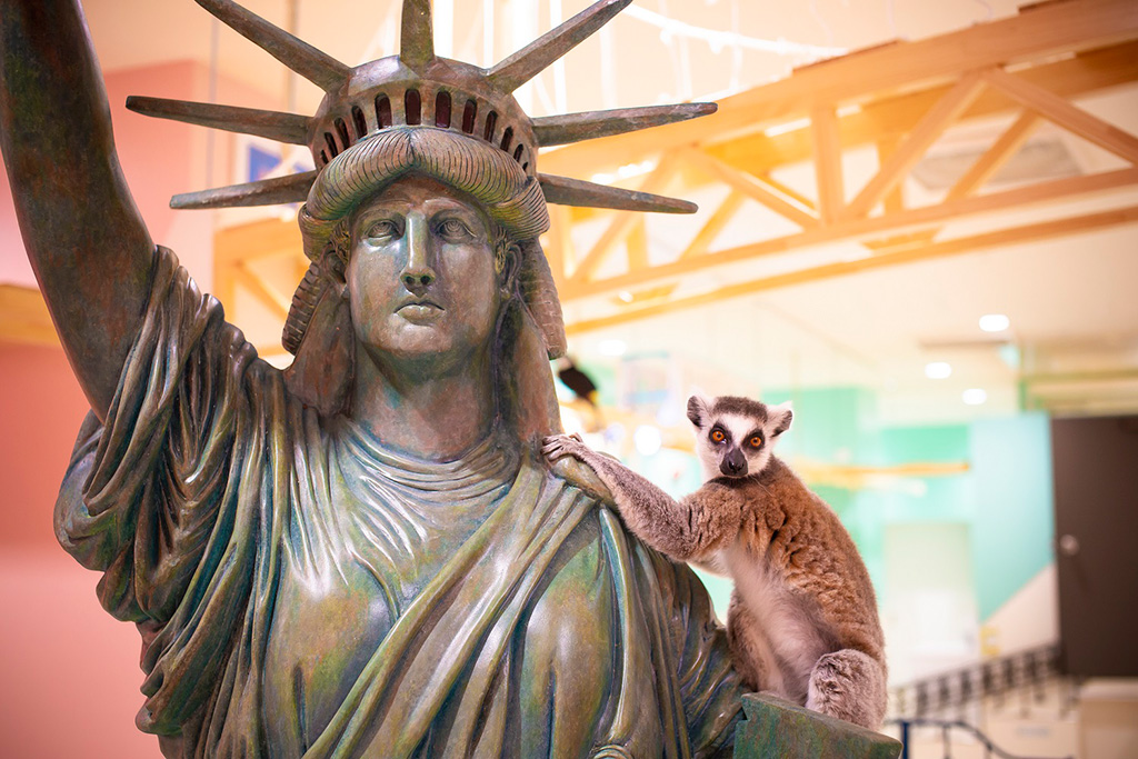 ワオキツネザルはエリア内で放し飼い/アニタッチ アクアシティお台場(東京都/港区)