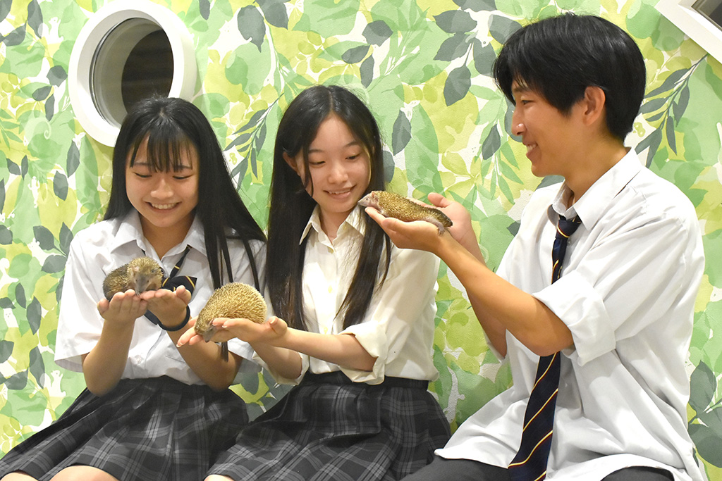 たくさんの動物とふれあい体験/アニタッチ アクアシティお台場(東京都/港区)