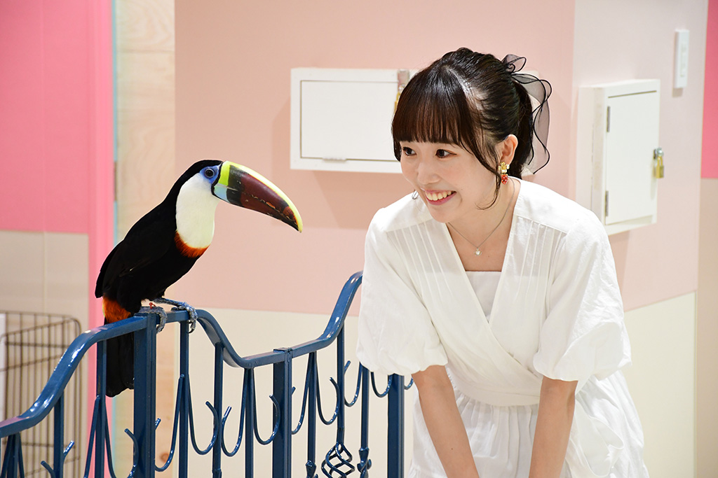 動物たちとの距離感ゼロ/アニタッチ アクアシティお台場(東京都/港区)