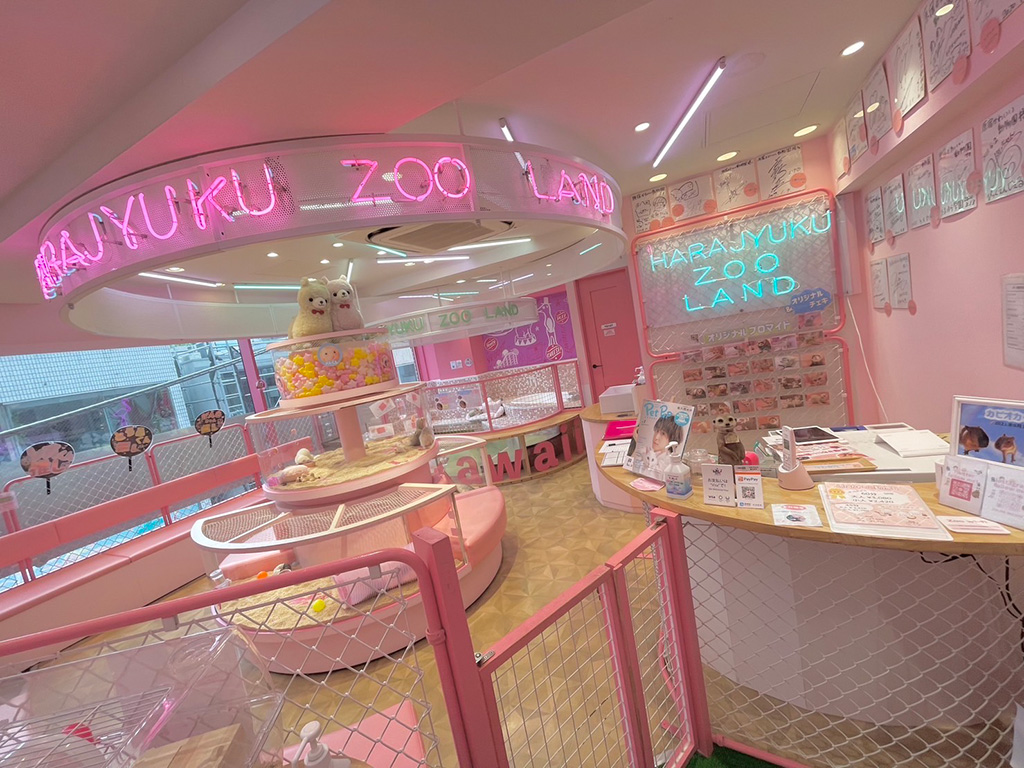 店内/原宿かわいい動物園(東京都/渋谷区)