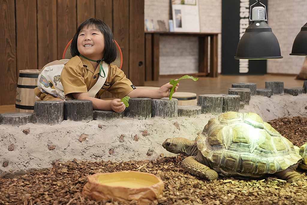 カメの餌やり体験/NARA IKIMONO MUSEUM(奈良県/奈良市)