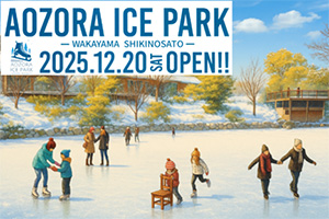 AOZORA ICE PARK(和歌山県和歌山市)