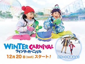 ウインターカーニバル(大阪府枚方市)