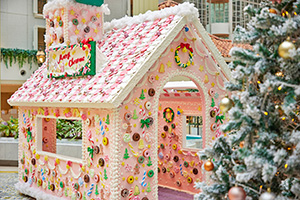 Shiny Christmas!~光輝くクリスマス~(千葉県浦安市)