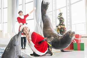 クリスマス アクアワールド2025(茨城県大洗町)