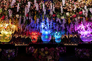 アートアクアリウム展 さいたまスーパーアリーナ2026（埼玉県／さいたま市）