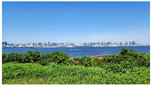 海の森公園エンジョイRUN(東京都/江東区)