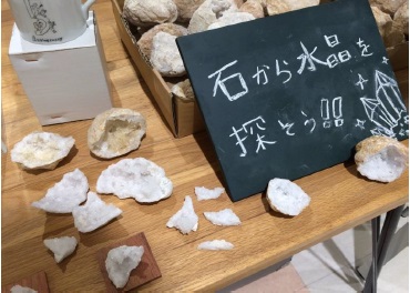 「石から水晶をさがそう！」/化石鉱物 Museum　地球のキセキ（奈良県/奈良市）
