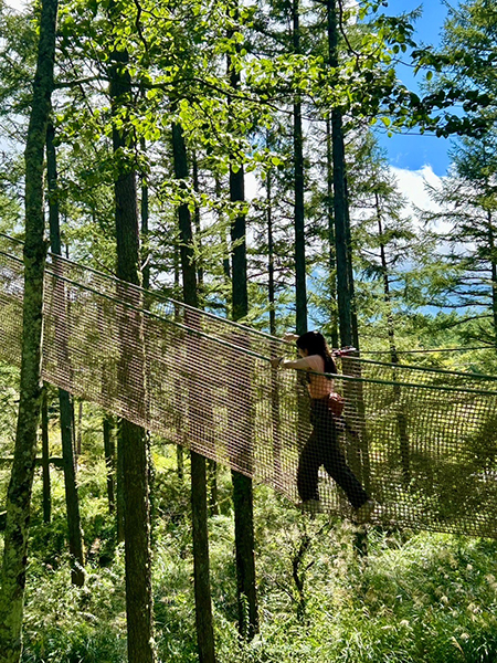 トレックコース／フォレストアドベンチャー・フジ（山梨県／南都留郡富士河口湖町）