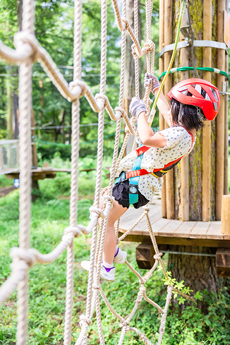 キッズコース／フォレストアドベンチャー・フジ（山梨県／南都留郡富士河口湖町）