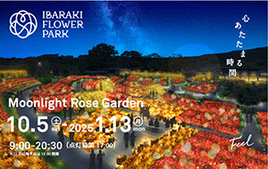 Moonlight Rose Garden2024（茨城県/石岡市）