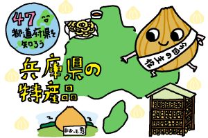 兵庫県の特産品おもしろ雑学|一年中栽培!タマネギアイランド淡路島