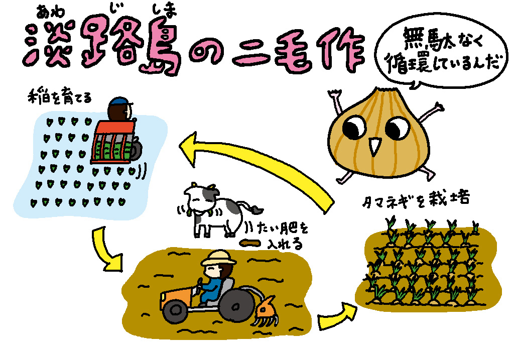淡路島の二毛作のイラスト/兵庫県の特産品「玉ねぎ」