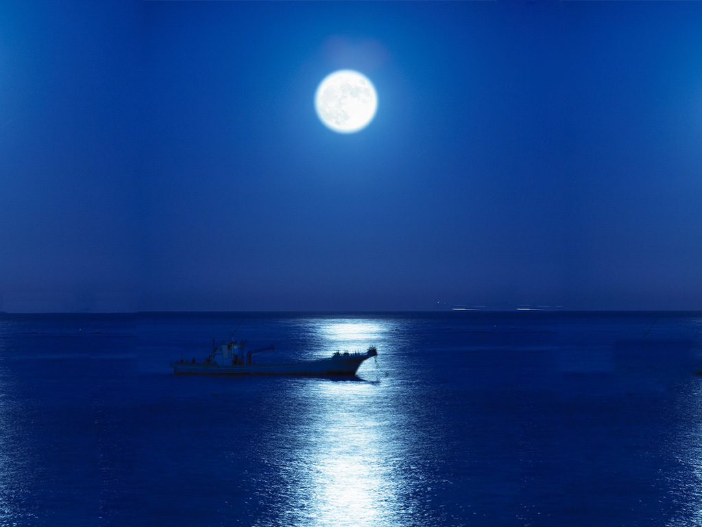 「ねこさいの日」ムーンロード/北川漁港「ねこさい広場」（静岡県/東伊豆町）