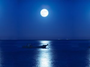 静岡・北川温泉のご当地イベント「ねこさいの日」が満月に復活!