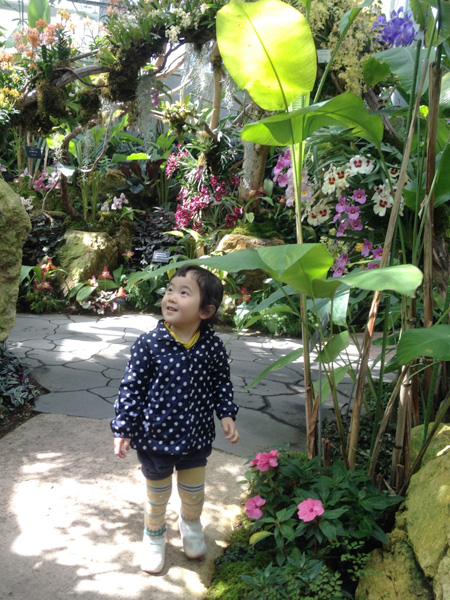 人気の温室/高知県立牧野植物園(高知県/高知市)