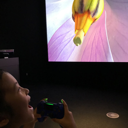 VRで植物の世界を体感/高知県立牧野植物園(高知県/高知市)