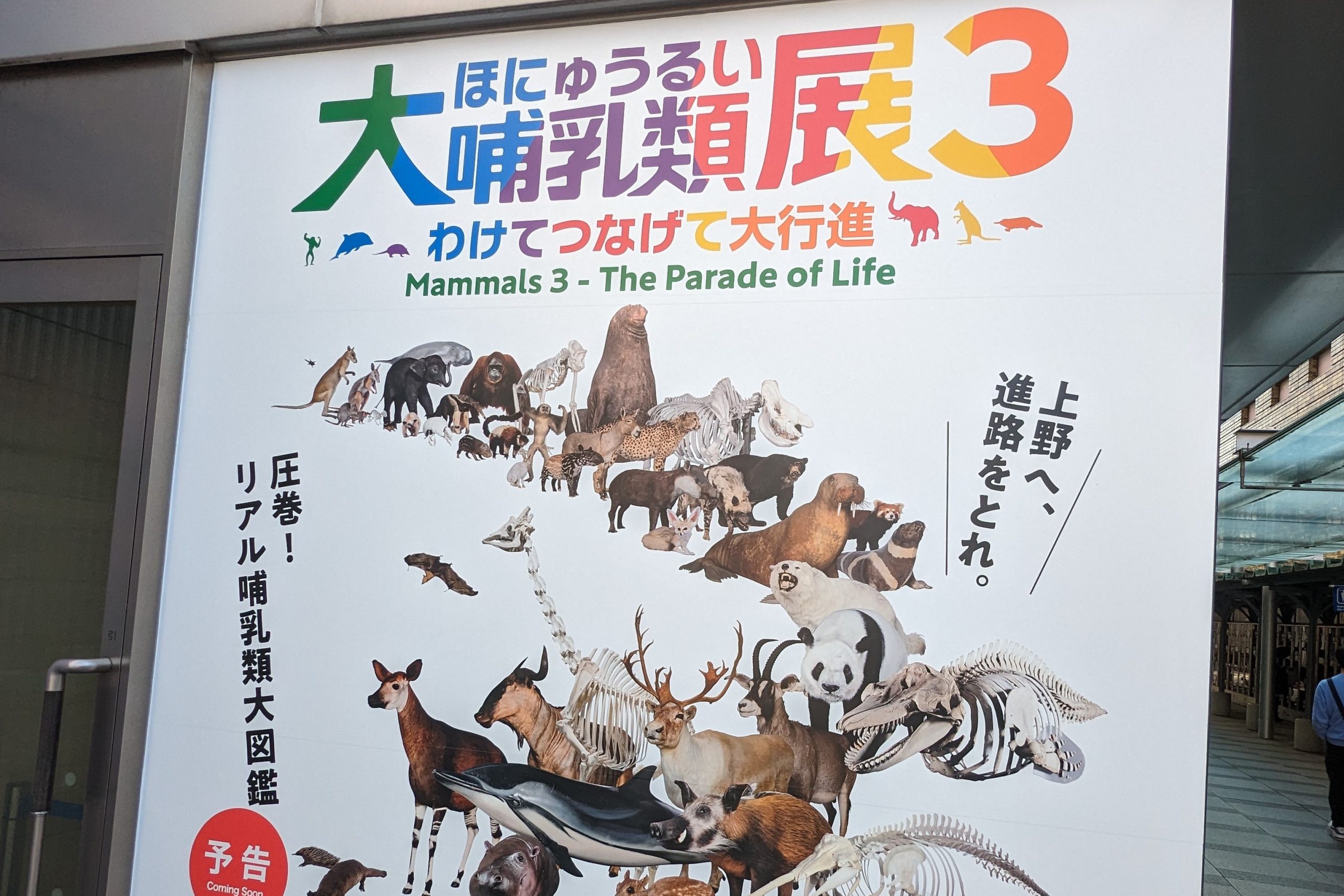 /国立科学博物館「大哺乳類展3-わけてつなげて大行進」(東京都/台東区)