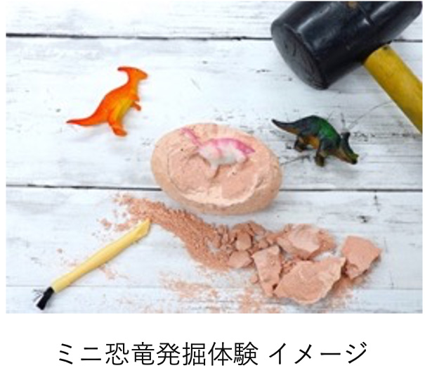 「ミニ恐竜発掘体験」お台場 恐竜パーク in DECKS Tokyo beach/デックス東京ビーチ（東京都/港区）