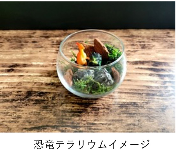 「恐竜テラリウムづくり」お台場 恐竜パーク in DECKS Tokyo beach/デックス東京ビーチ（東京都/港区）
