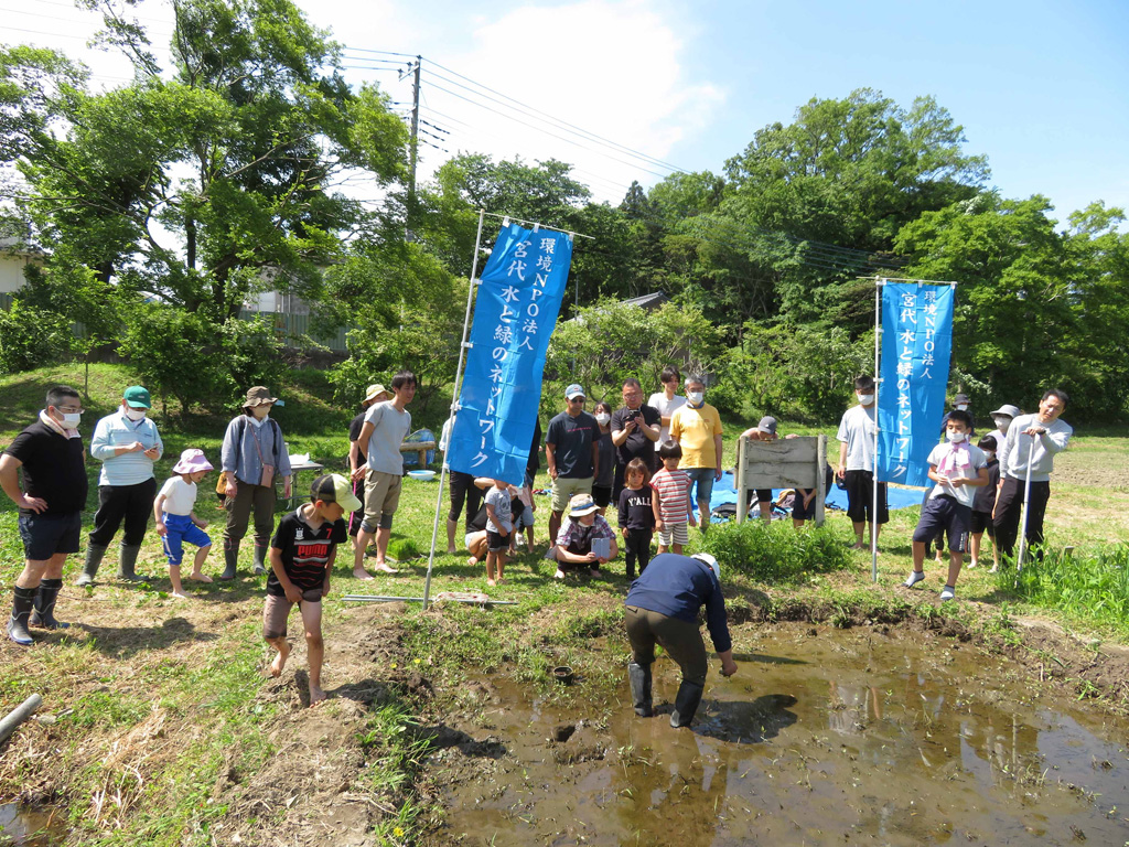 田植え体験「新しい村」（埼玉県/宮代町）