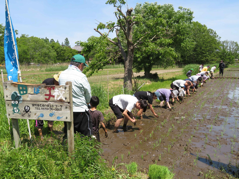 田植え体験「新しい村」（埼玉県/宮代町）