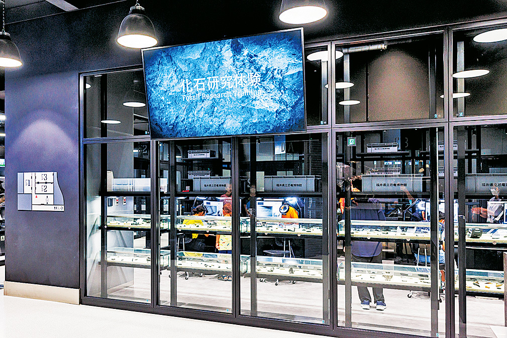 化石研究体験/福井県立恐竜博物館（勝山市）