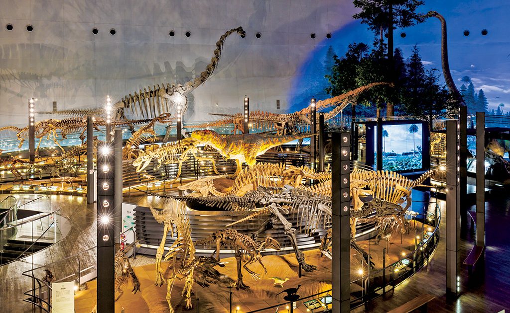 ❌恐竜大好き*.(๓´͈ ˘ `͈๓).*　世界最大の恐竜博2002 福井県立恐竜博物館｜Tokyo Art Beat