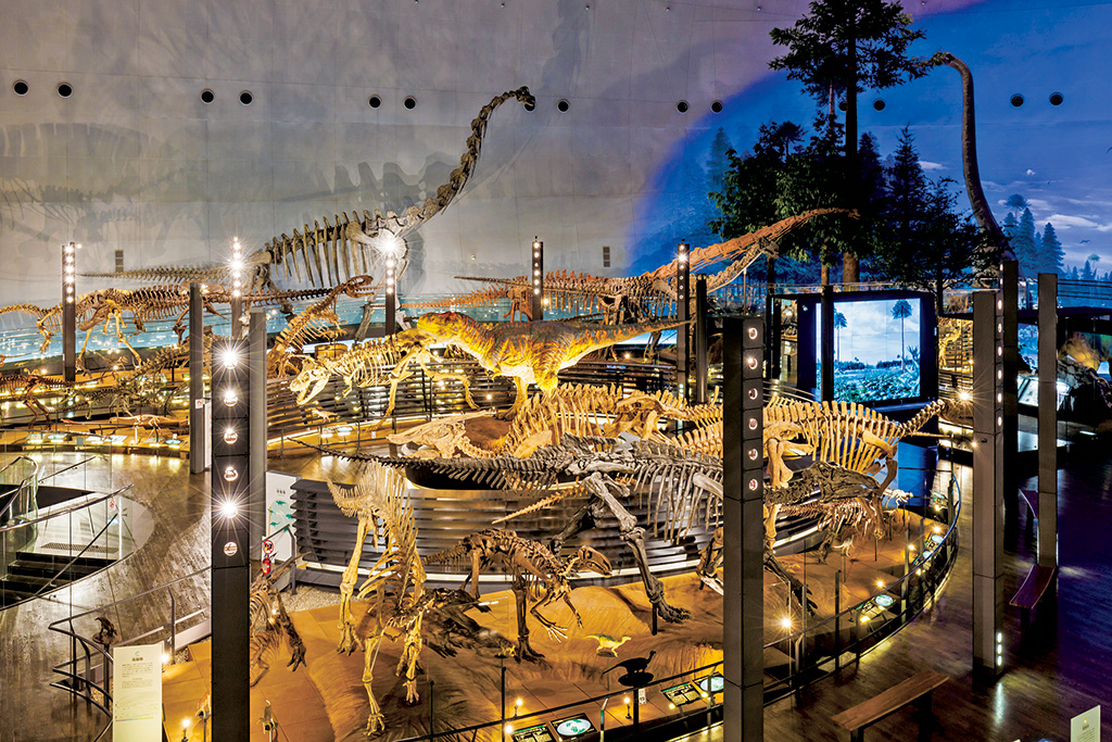 福井県立恐竜博物館（勝山市）