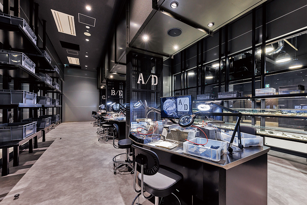 化石研究体験室/福井県立恐竜博物館（勝山市）