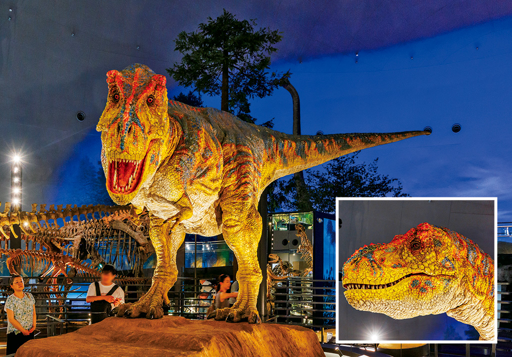 ティラノサウルス/福井県立恐竜博物館（勝山市）
