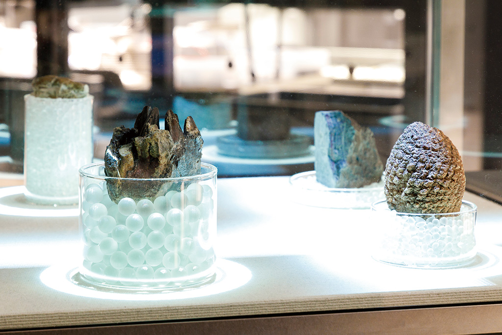 CT化石観察/福井県立恐竜博物館(勝山市)