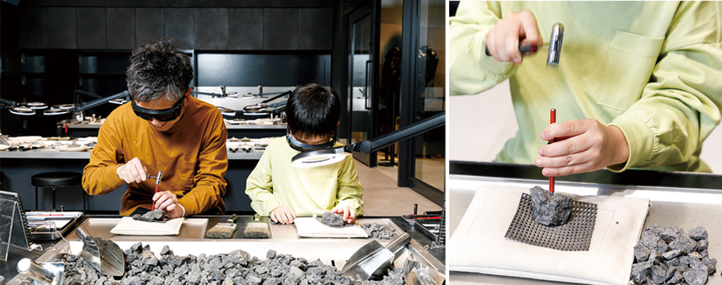 発掘の様子/福井県立恐竜博物館（勝山市）