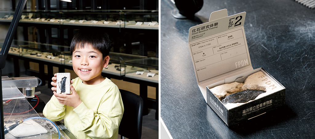 化石クリーニング終了/福井県立恐竜博物館(勝山市)