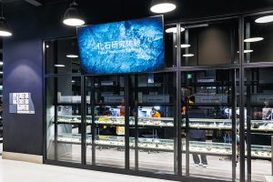 福井県立恐竜博物館で絶対に体験したい研究体験とは?予約のコツも伝授