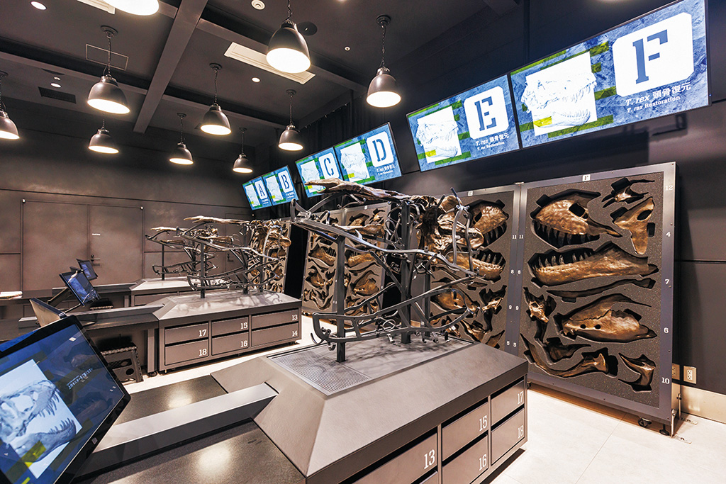 Lab.1 T. rex頭骨復元/福井県立恐竜博物館(勝山市)